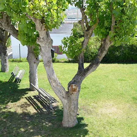 Bed & Breakfast Mares Vivas Lourinhã