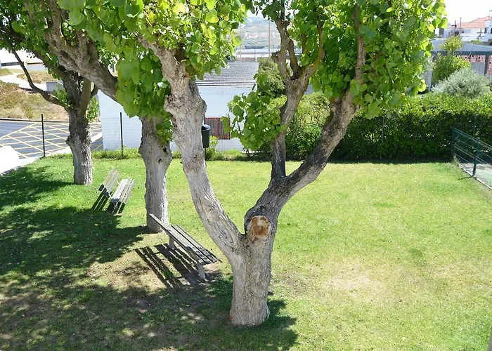 Alojamento de Acomodação e Pequeno-almoço Mares Vivas Lourinhã